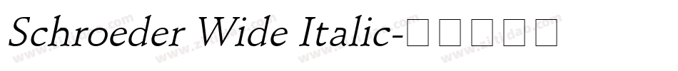 Schroeder Wide Italic字体转换